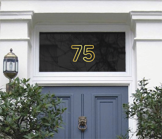 Chrome Gold Neon House Numbers